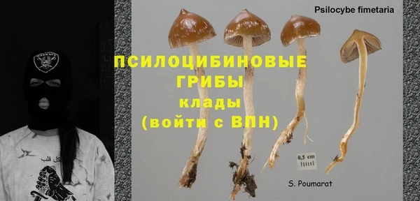 амф Алексин