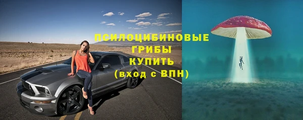 шишки Абинск