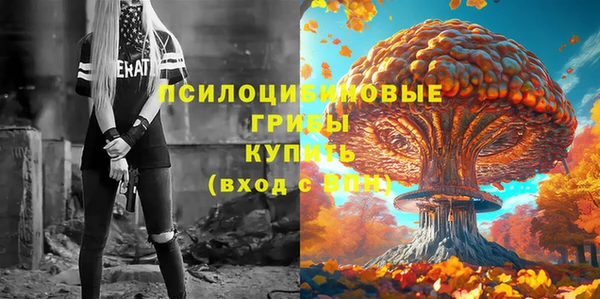 apvp Абаза