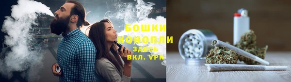 шишки Абинск