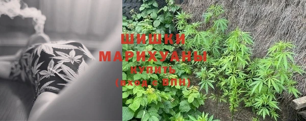 шишки Абинск