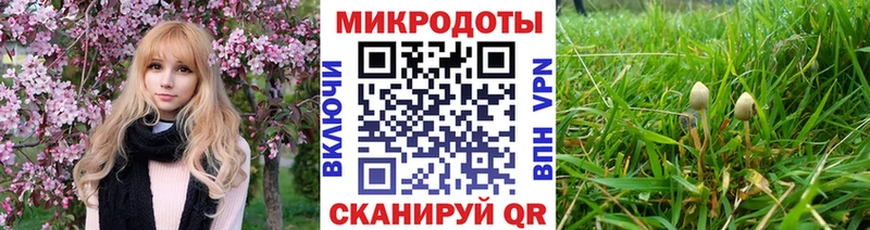 blacksprut маркетплейс  купить закладку  Иваново  Псилоцибиновые грибы Magic Shrooms 