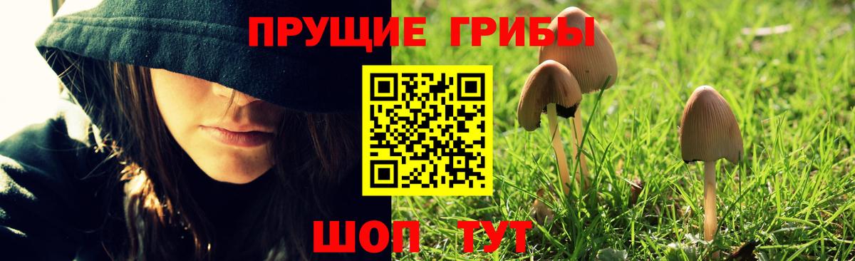 Галлюциногенные грибы ЛСД Иваново
